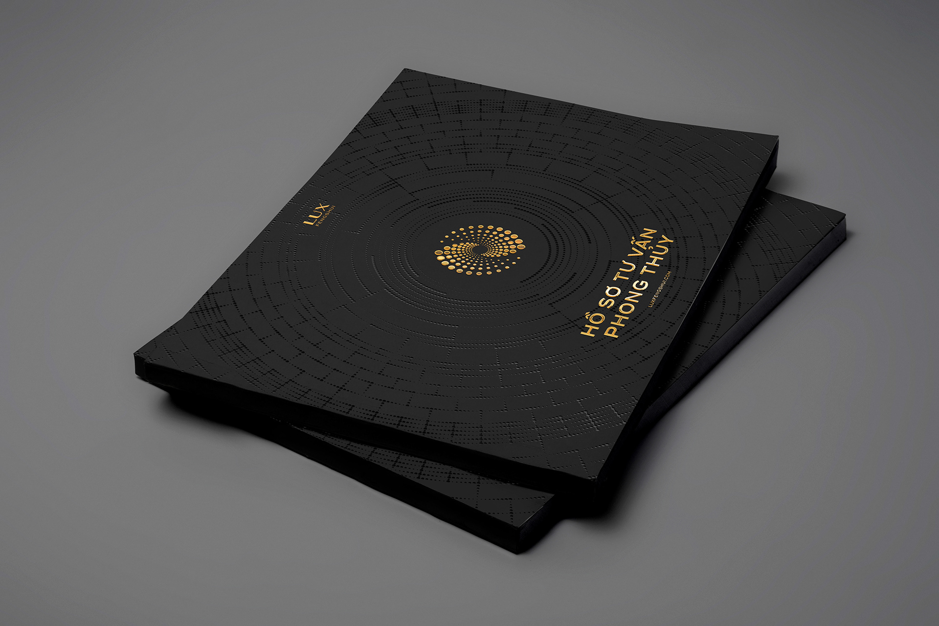 lux fenghui consulting profile