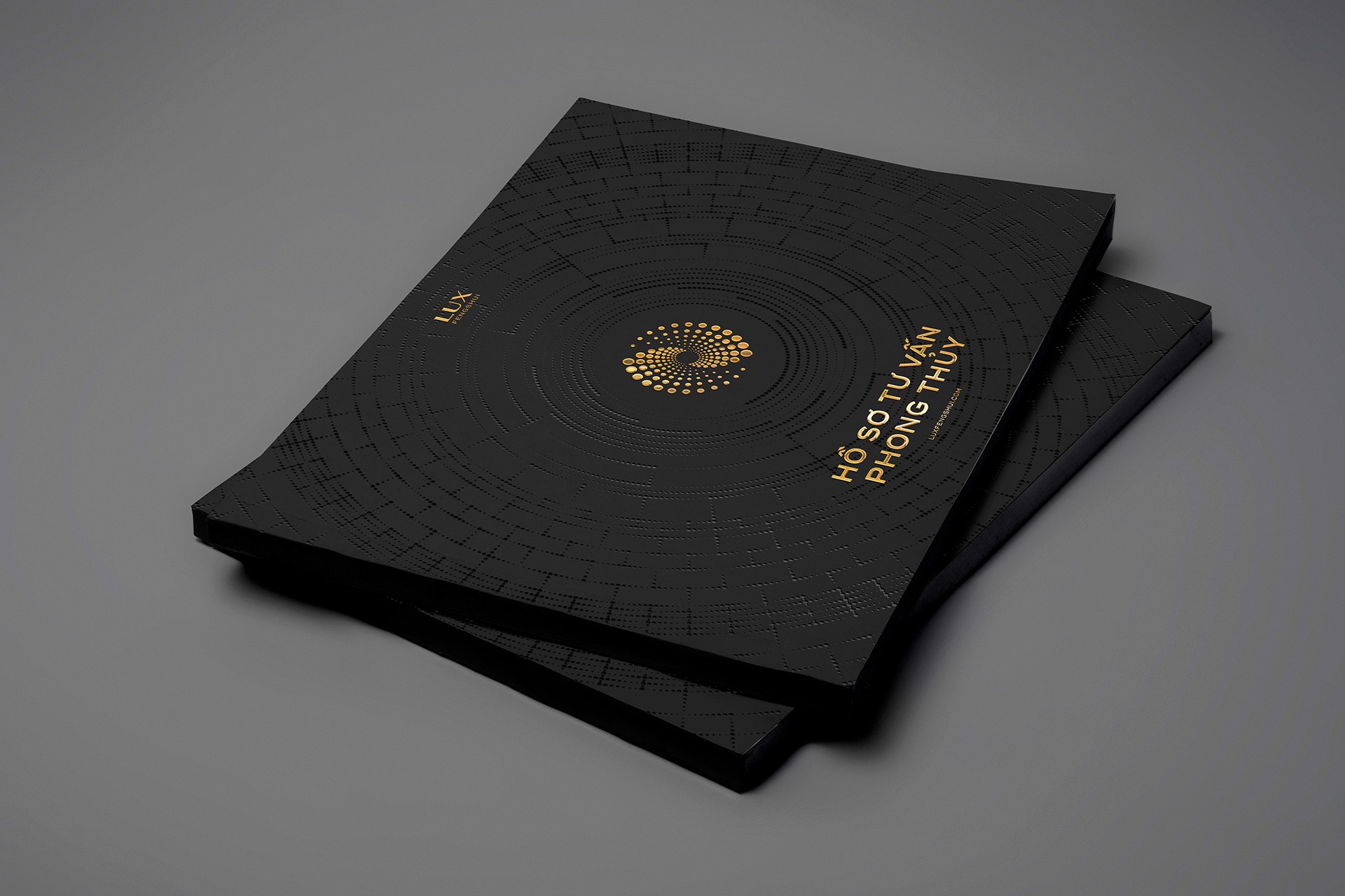 Lux Fengshui profile book